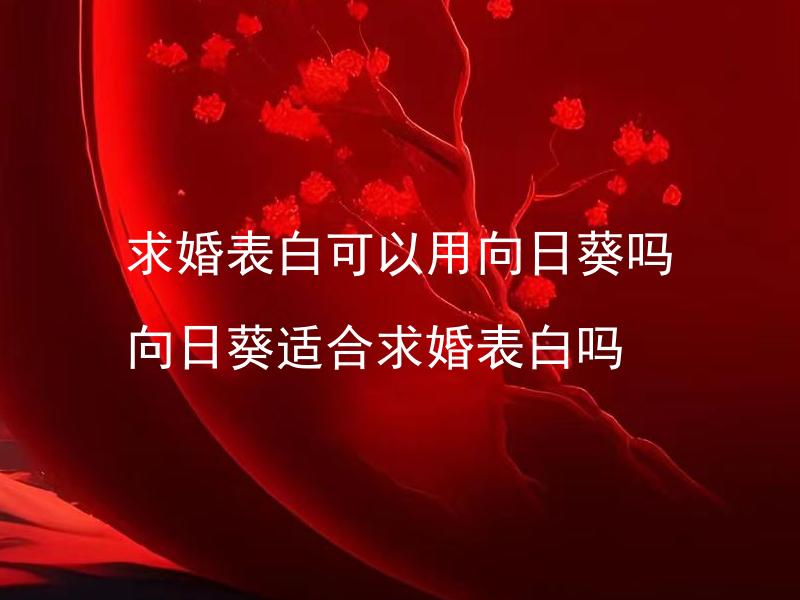 求婚表白可以用向日葵吗 向日葵适合求婚表白吗