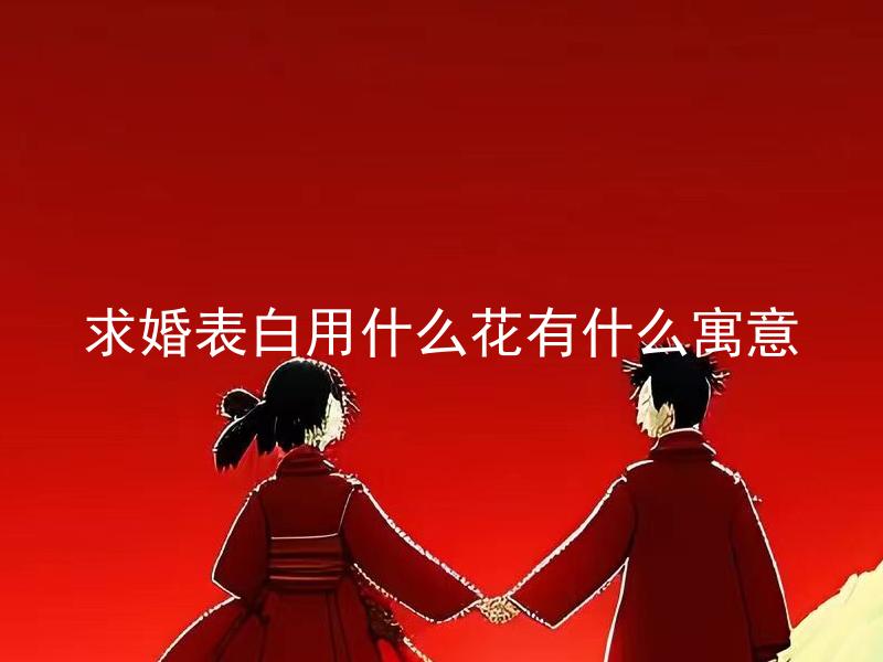 求婚表白用什么花有什么寓意