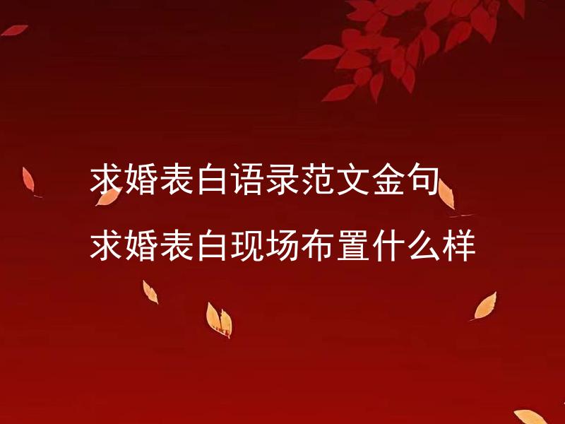 求婚表白语录范文金句 求婚表白现场布置什么样