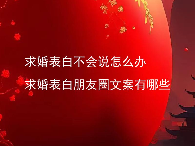 求婚表白不会说怎么办 求婚表白朋友圈文案有哪些