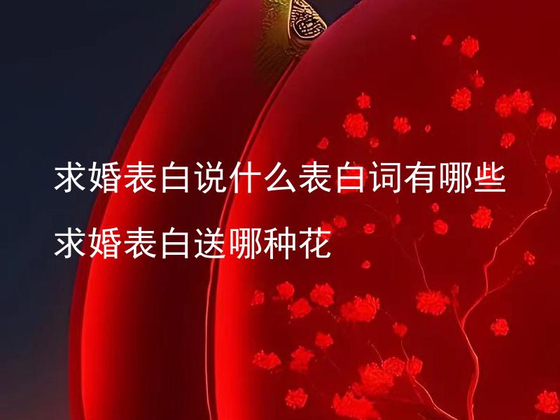 求婚表白说什么表白词有哪些 求婚表白送哪种花