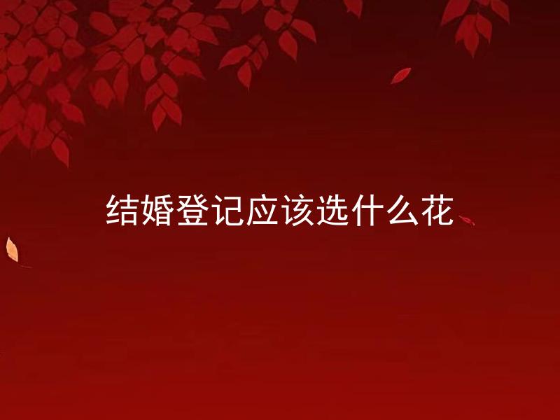 结婚登记应该选什么花