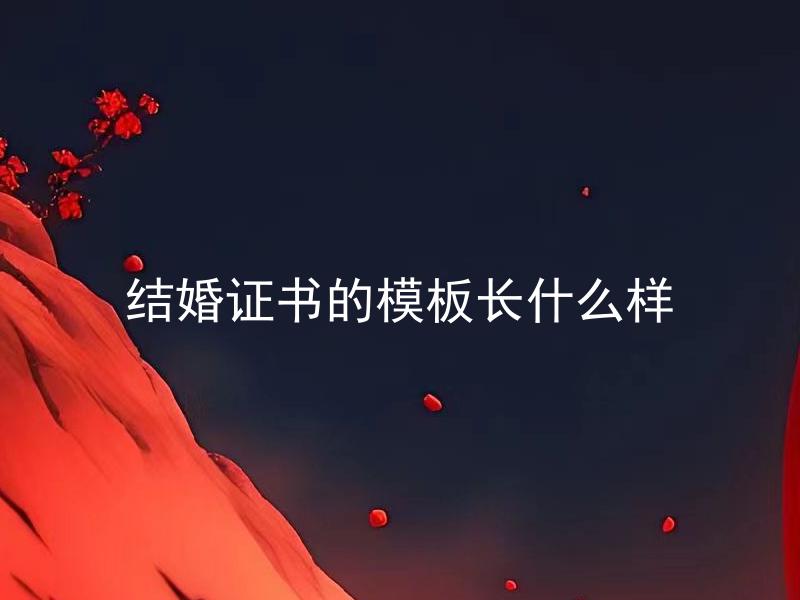结婚证书的模板长什么样