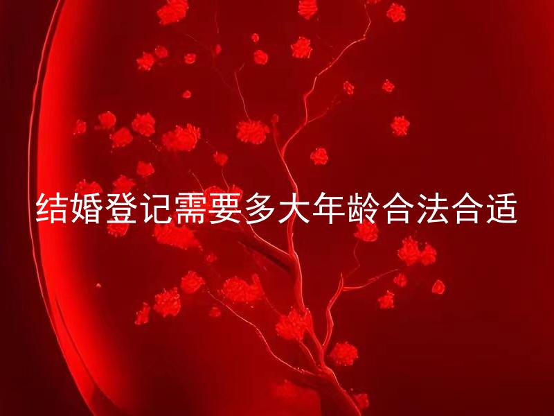 结婚登记需要多大年龄合法合适