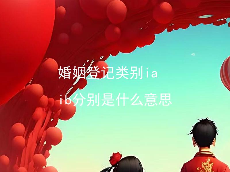 婚姻登记类别ia ib分别是什么意思