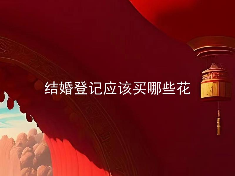 结婚登记应该买哪些花