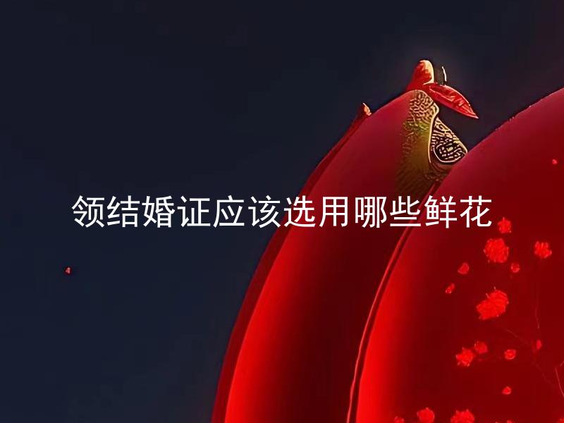 领结婚证应该选用哪些鲜花