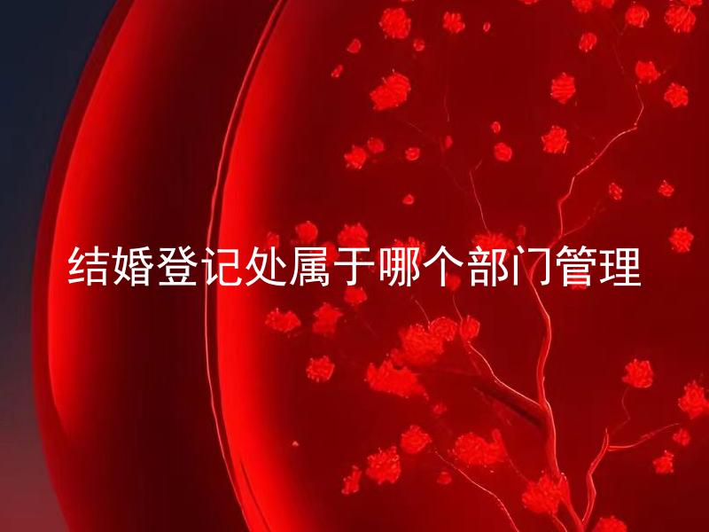 结婚登记处属于哪个部门管理