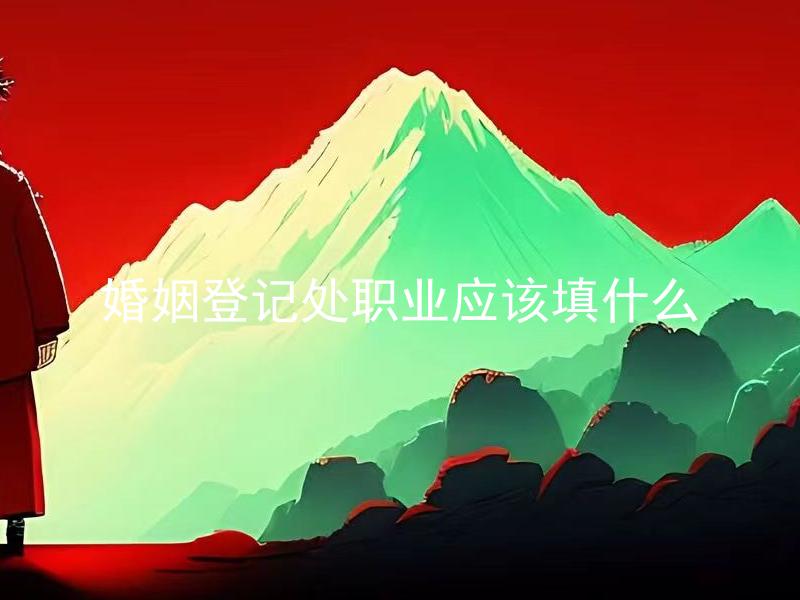 婚姻登记处职业应该填什么