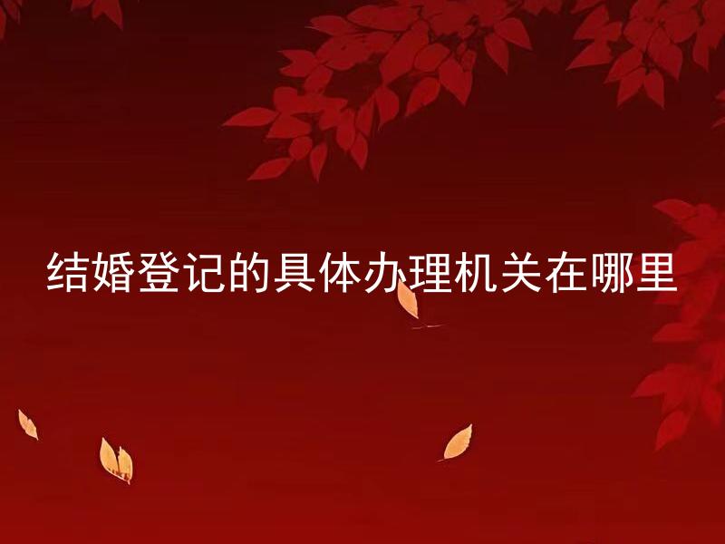 结婚登记的具体办理机关在哪里