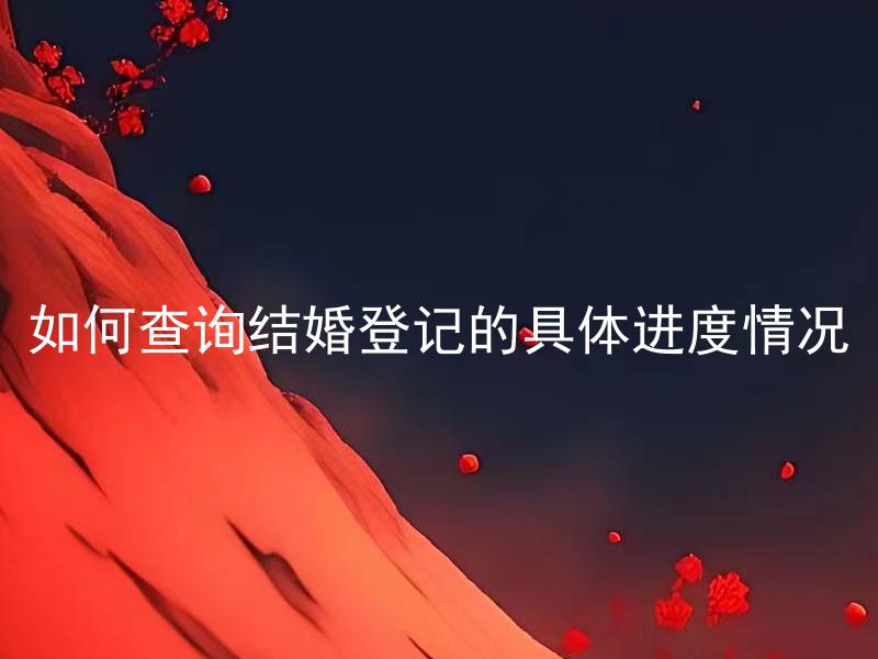 如何查询结婚登记的具体进度情况