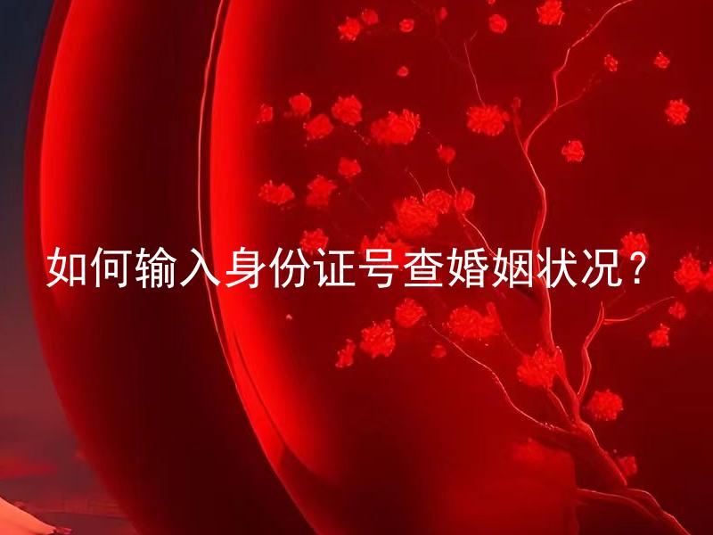 如何输入身份证号查婚姻状况？