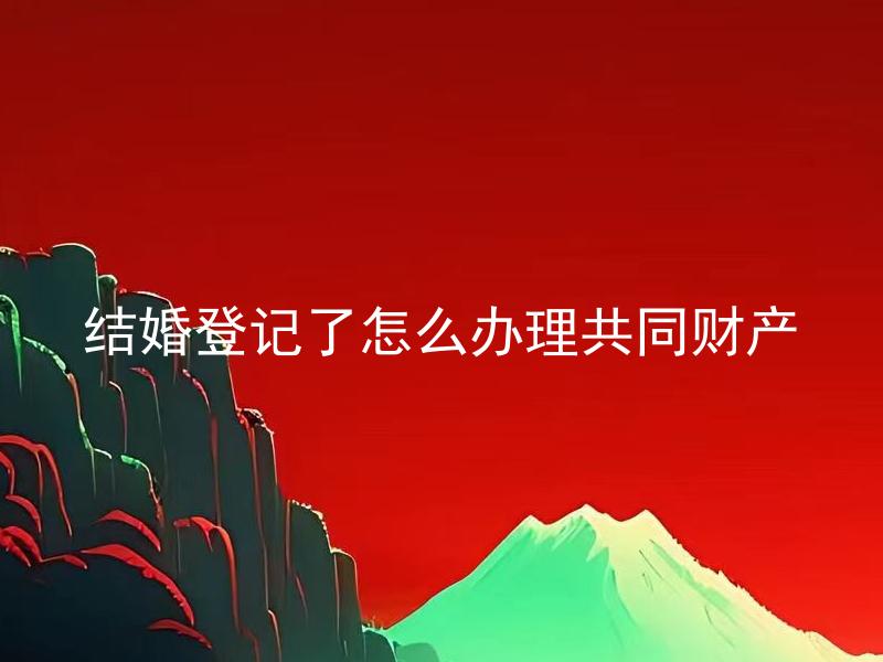 结婚登记了怎么办理共同财产