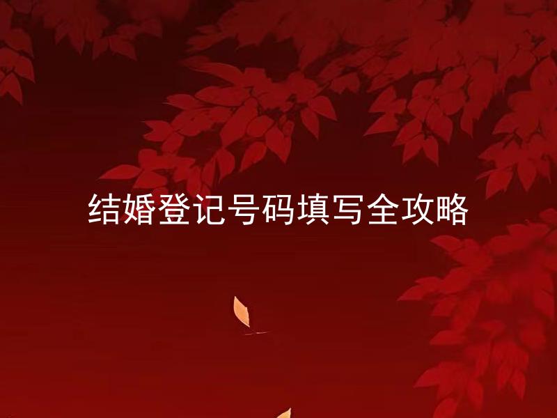 结婚登记号码填写全攻略