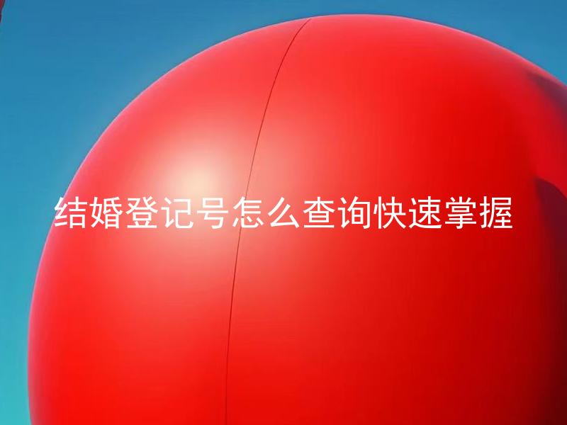 结婚登记号怎么查询快速掌握