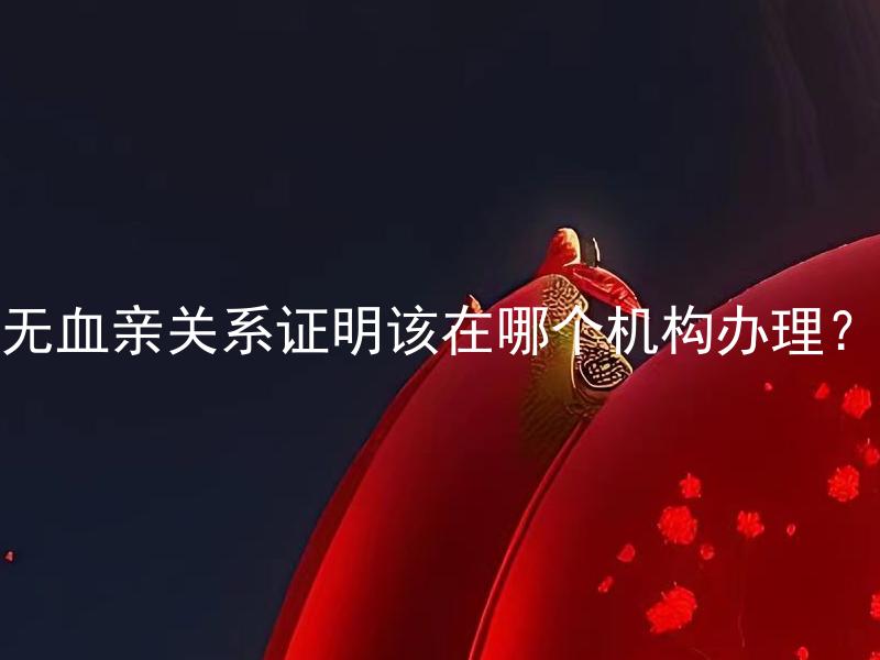 无血亲关系证明该在哪个机构办理？ 无血亲关系证明如何开具？
