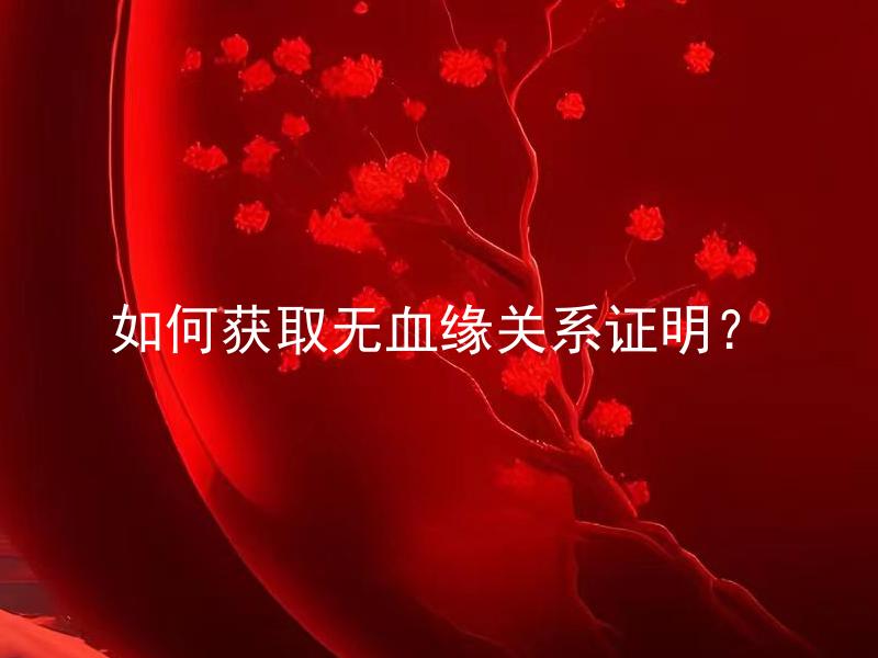 如何获取无血缘关系证明？