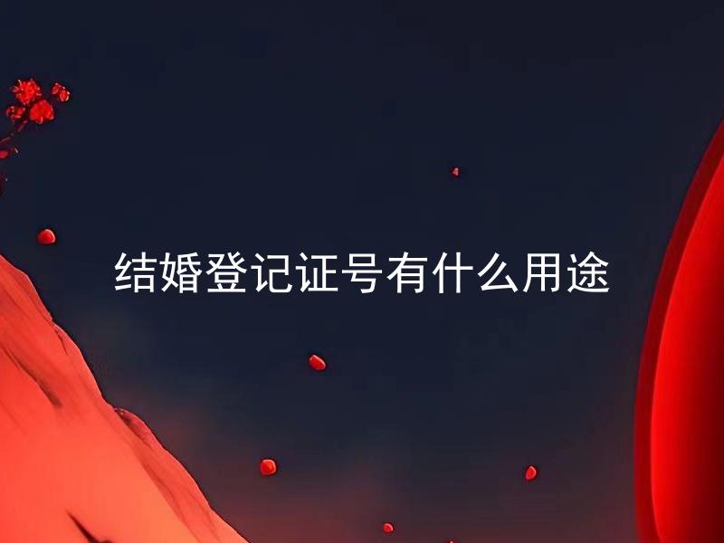结婚登记证号有什么用途 结婚登记证号可以拿来办理哪些手续？