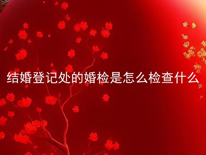 结婚登记处的婚检是怎么检查什么 结婚登记处的婚检需要检查哪些内容，如何进行检查？