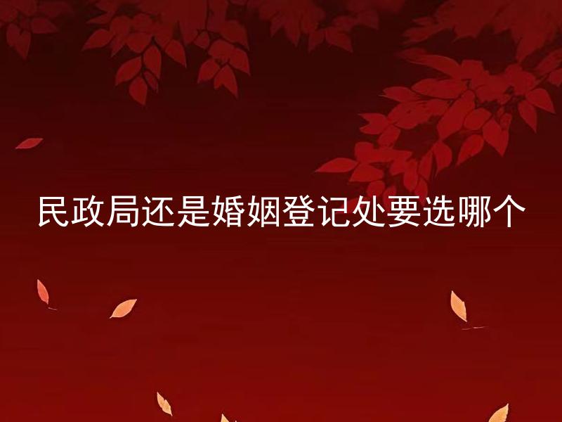 民政局还是婚姻登记处要选哪个 民政局和婚姻登记处有什么区别，选哪个比较适合？