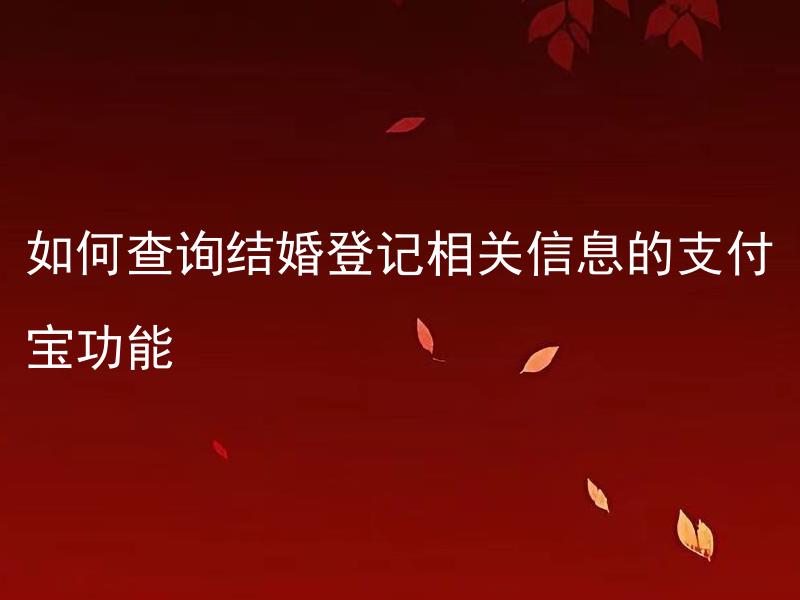 如何查询结婚登记相关信息的支付宝功能 支付宝结婚登记查询功能具体步骤是什么？