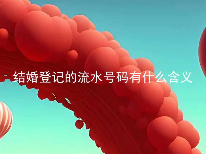 结婚登记的流水号码有什么含义 结婚登记流水号码如何查询？