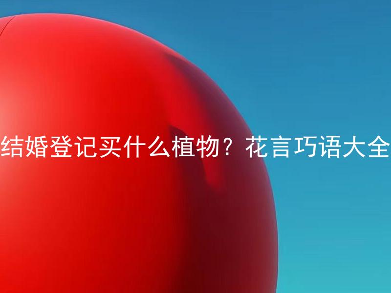 结婚登记买什么植物？花言巧语大全 哪些植物适合作为结婚登记的花卉？如何运用花言巧语增添仪式感？