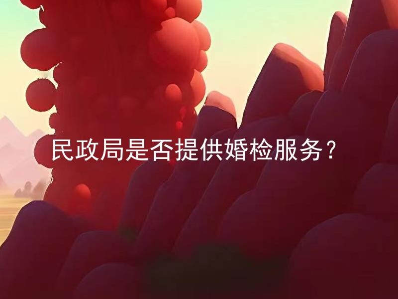 民政局是否提供婚检服务？ 民政局提供的婚检服务包括哪些内容？