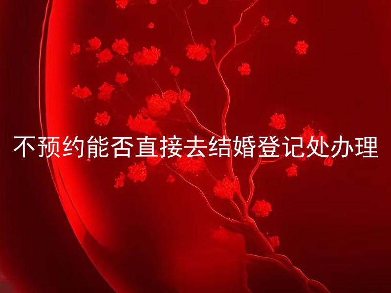 不预约能否直接去结婚登记处办理