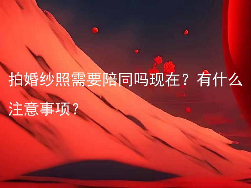 拍婚纱照需要陪同吗现在？有什么注意事项？ 婚纱照拍摄，现在是否需要陪同？拍摄婚纱照有什么注意事项吗？